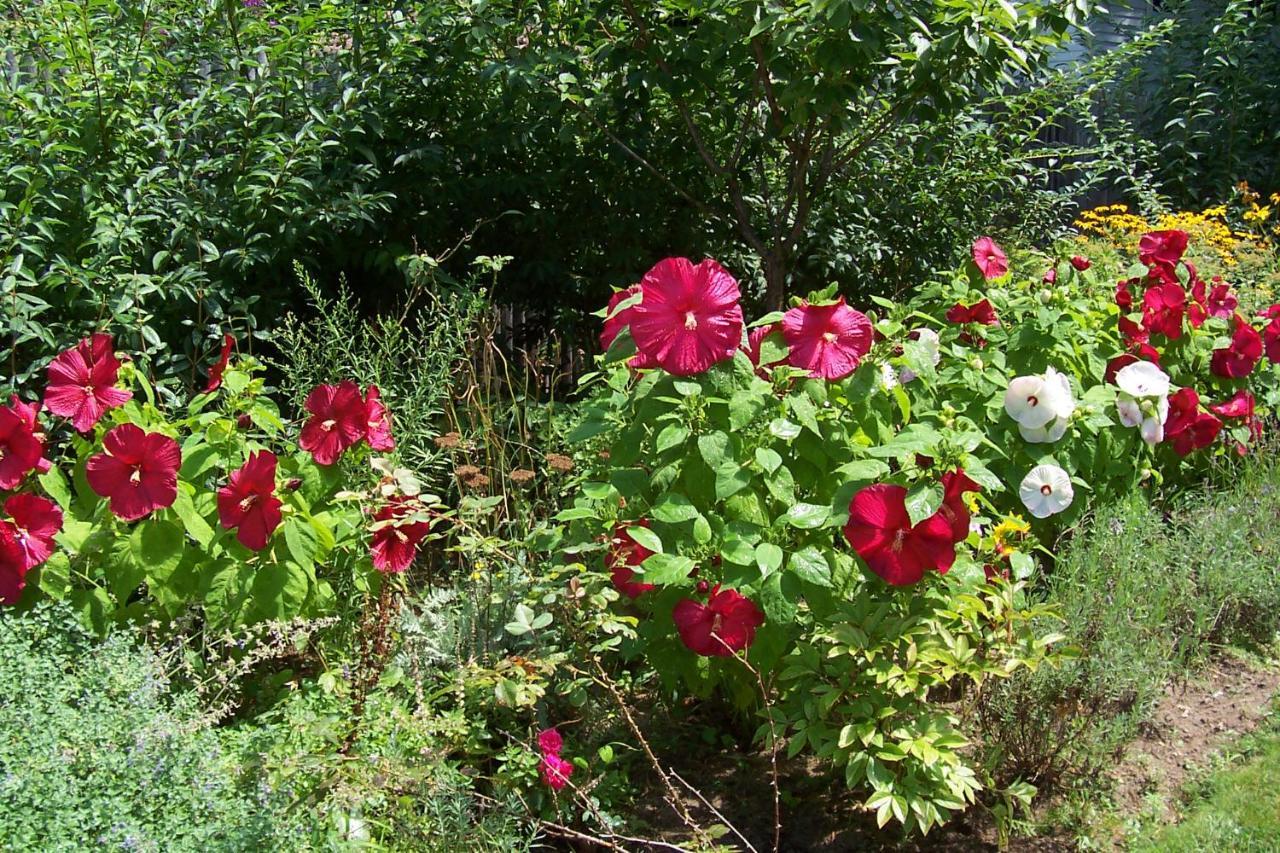 Arbor View House Bed And Breakfast East Marion Екстер'єр фото