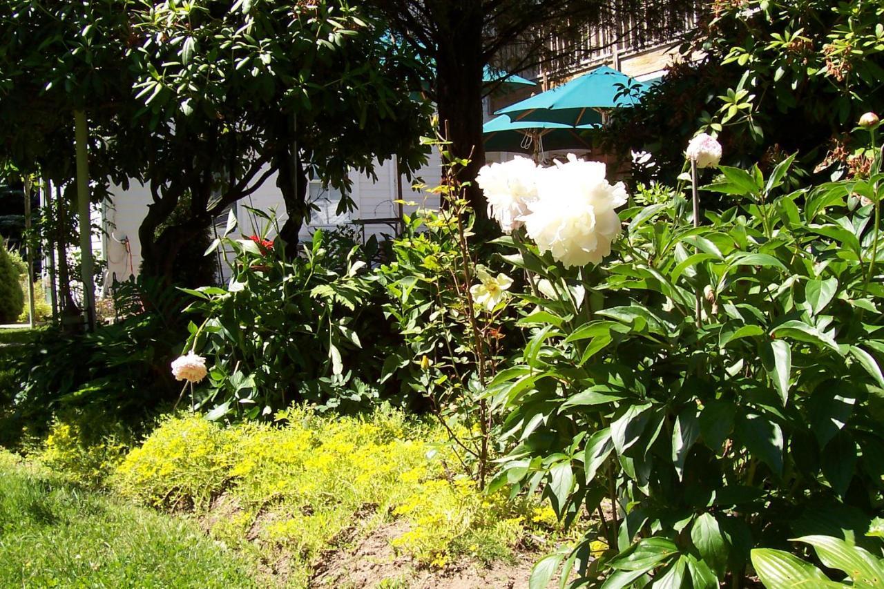 Arbor View House Bed And Breakfast East Marion Екстер'єр фото