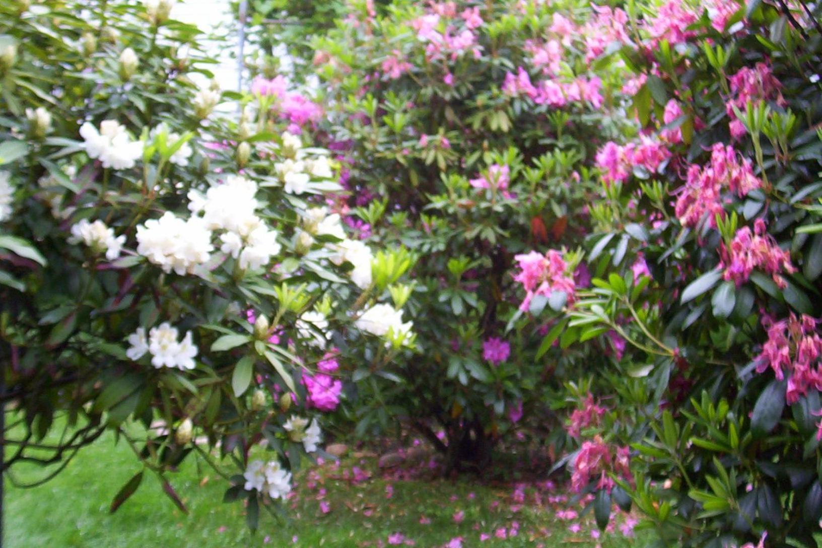 Arbor View House Bed And Breakfast East Marion Екстер'єр фото