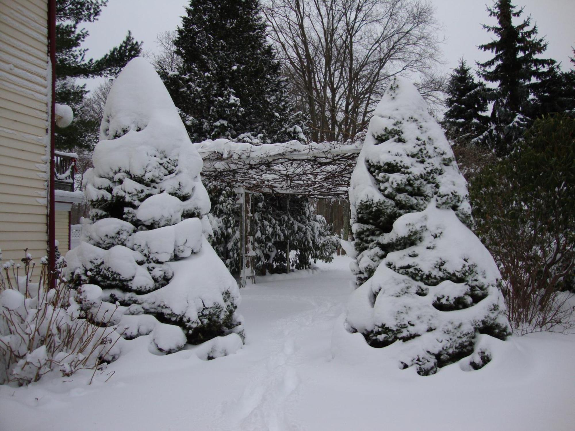 Arbor View House Bed And Breakfast East Marion Екстер'єр фото